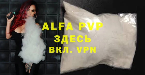ешки Белокуриха
